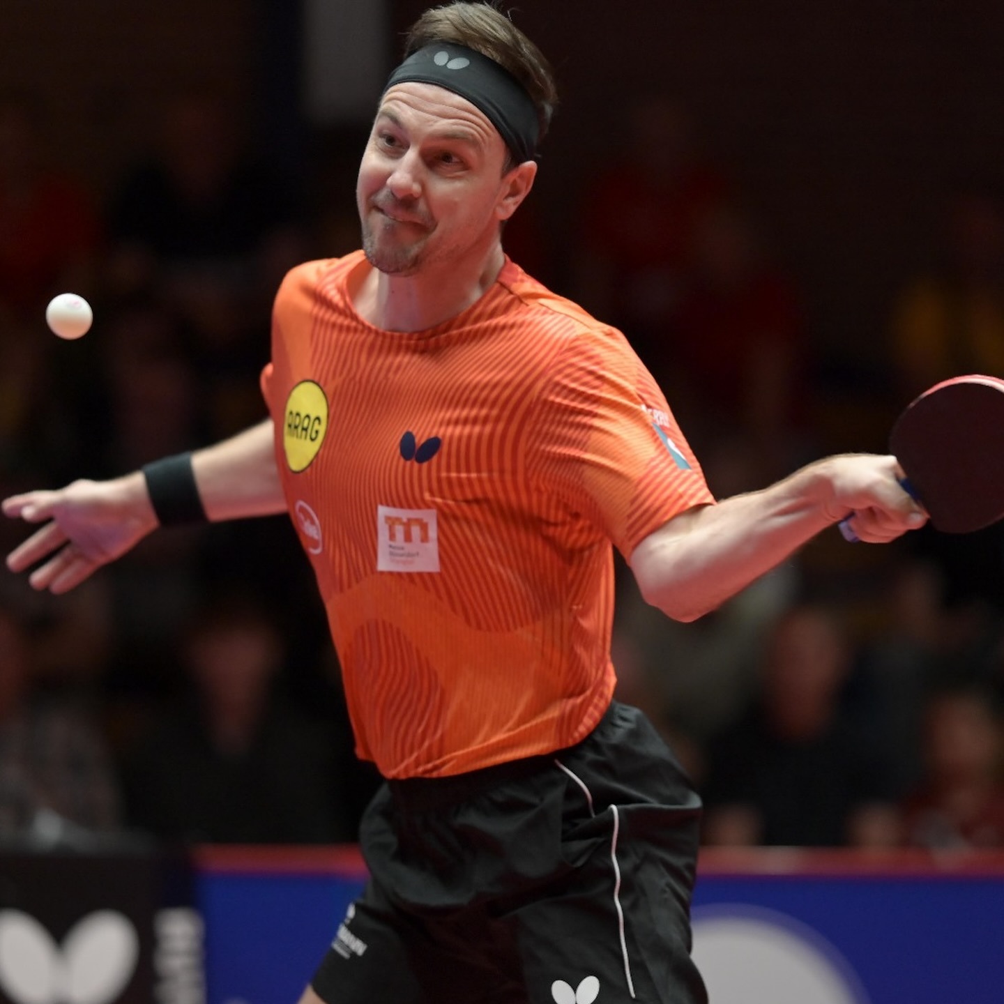 日本乒乓球队绝地反击波兰乒乓球队，波尔高光表现的简单介绍