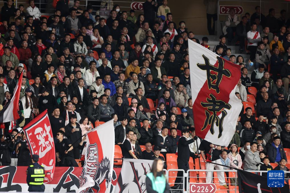 意甲比赛现场观众热心应援,声势浩大 意甲比赛现场观众热心应援,声势浩大