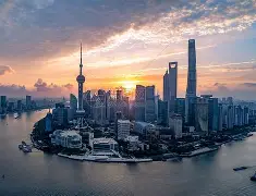 上海球队拼搏奋进，寻求突破的简单介绍