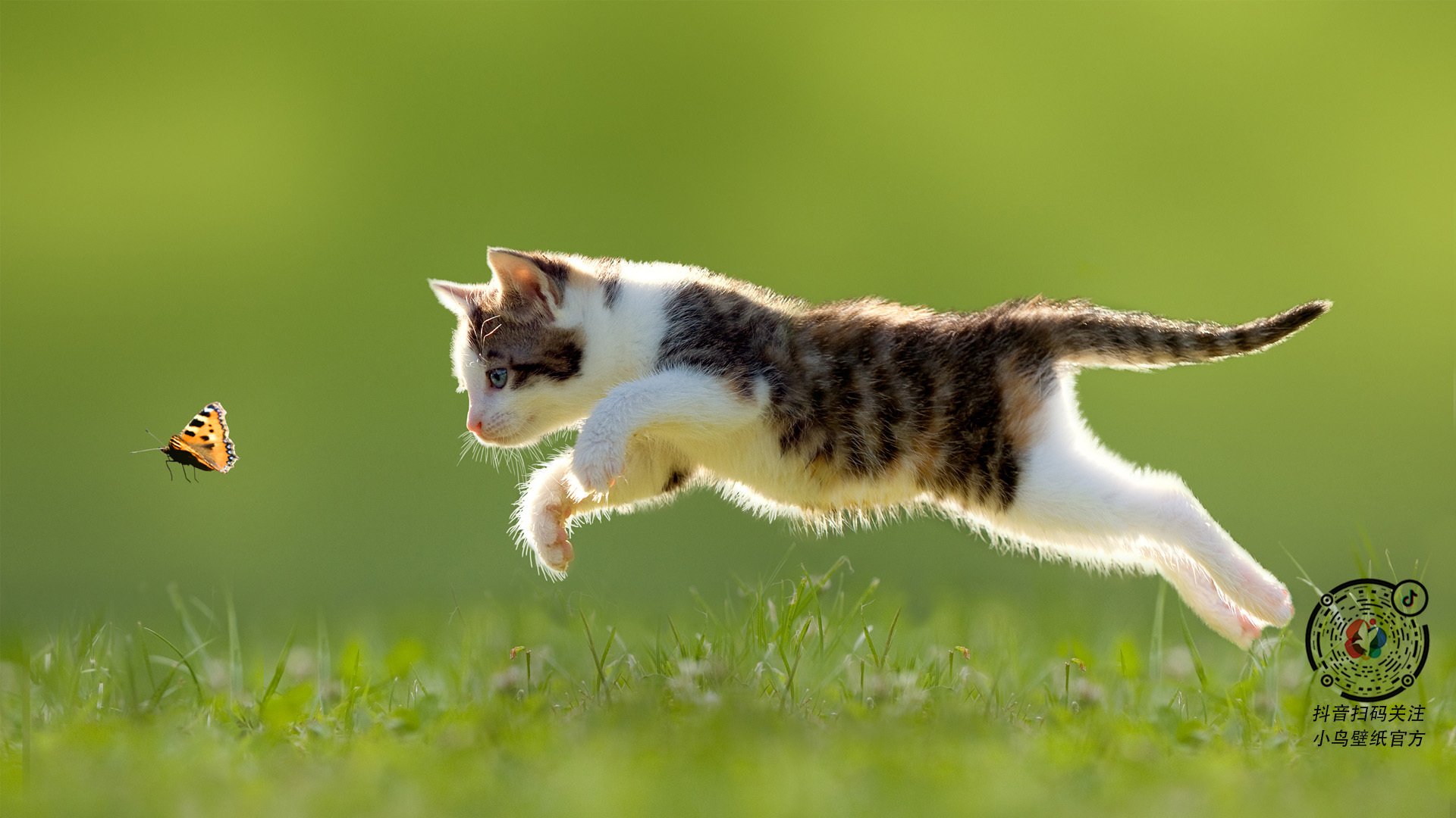 终场绝响，骑士逆转雄鹿，福克斯化身关键先生书写传奇之夜