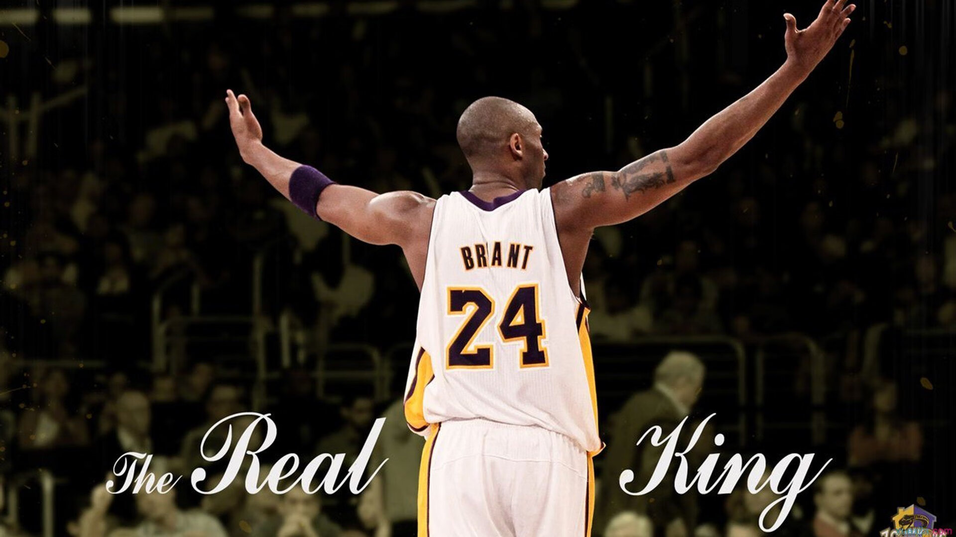 冰与火的碰撞，锡安完美发挥，吉林队如何挑战雄鹿霸权？