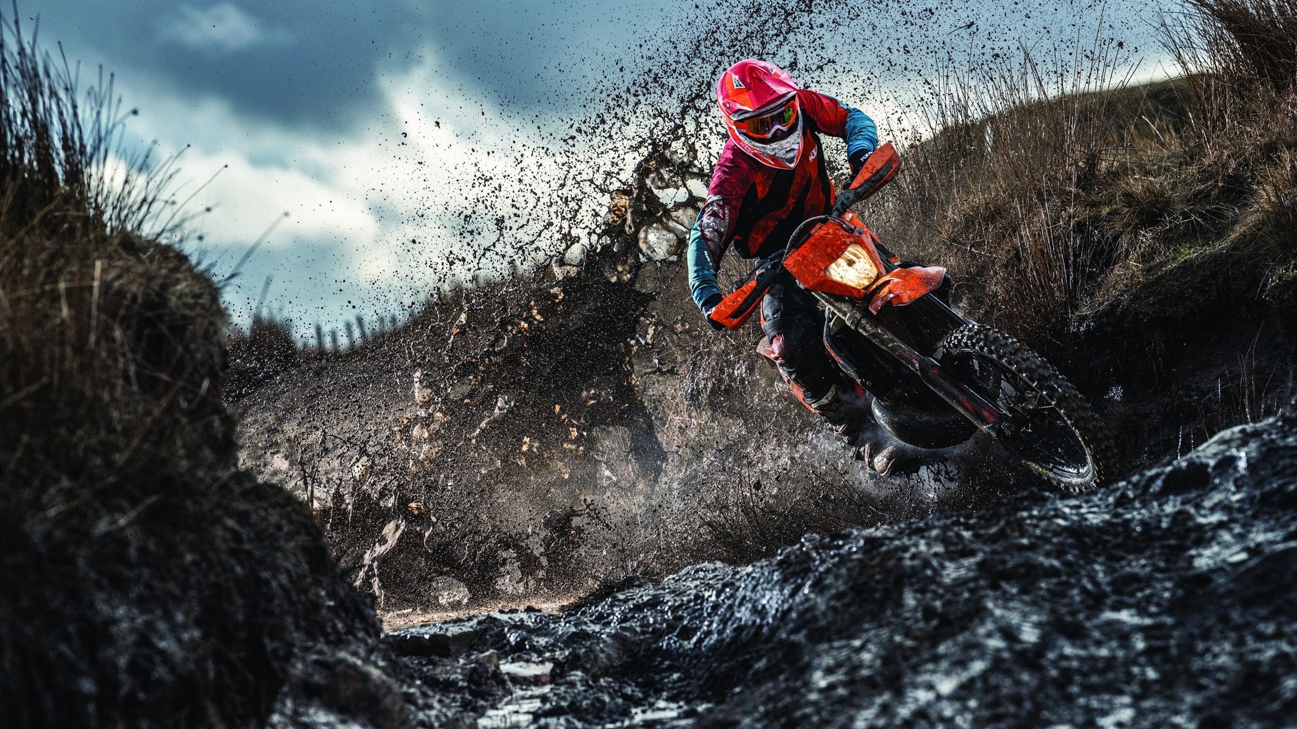 霍勒迪一剑封喉!上海队力克卫冕冠军掘金,书写亚洲篮球新篇章